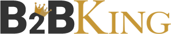 B2BKing Demo